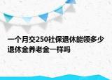 一個月交250社保退休能領多少退休金養(yǎng)老金一樣嗎