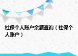社保個人賬戶余額查詢（社保個人賬戶）