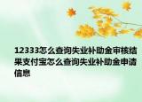 12333怎么查詢失業(yè)補助金審核結(jié)果支付寶怎么查詢失業(yè)補助金申請信息