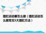 提肛運動要怎么做（提肛運動怎么做常見5大提肛方法）