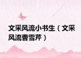 文采風流小書生（文采風流曹雪芹）