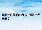 贈君一世榮華txt寶書（贈君一世長安）