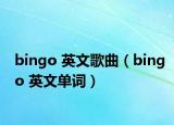 bingo 英文歌曲（bingo 英文單詞）