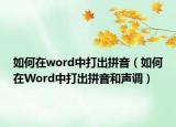 如何在word中打出拼音（如何在Word中打出拼音和聲調(diào)）