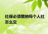 社保必須繳納嗎個人社怎么交