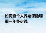 如何查個人養(yǎng)老保險明細(xì)一年多少錢