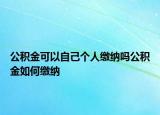 公積金可以自己個(gè)人繳納嗎公積金如何繳納