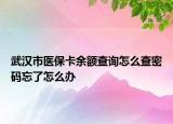 武漢市醫(yī)保卡余額查詢怎么查密碼忘了怎么辦