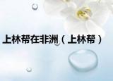 上林幫在非洲（上林幫）