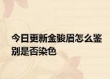 今日更新金駿眉怎么鑒別是否染色