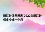 湛江社保費(fèi)用表 2022年湛江社保多少錢一個(gè)月