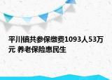 平川鎮(zhèn)共參保繳費(fèi)1093人53萬元 養(yǎng)老保險惠民生