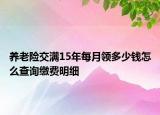 養(yǎng)老險交滿15年每月領多少錢怎么查詢繳費明細