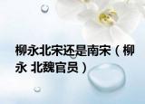 柳永北宋還是南宋（柳永 北魏官員）