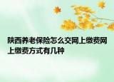 陜西養(yǎng)老保險怎么交網(wǎng)上繳費(fèi)網(wǎng)上繳費(fèi)方式有幾種