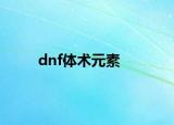 dnf體術(shù)元素