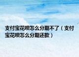 支付寶花唄怎么分期不了（支付寶花唄怎么分期還款）