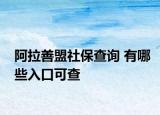 阿拉善盟社保查詢 有哪些入口可查