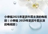 小幸福2021年姜武牛莉主演的電視?。ㄐ⌒腋?2019年姜武牛莉主演的電視劇）