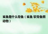 鯊魚是什么骨魚（鯊魚 軟骨魚綱動物）