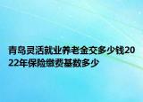 青島靈活就業(yè)養(yǎng)老金交多少錢2022年保險繳費基數(shù)多少