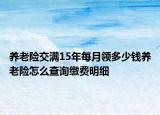 養(yǎng)老險交滿15年每月領多少錢養(yǎng)老險怎么查詢繳費明細