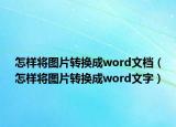 怎樣將圖片轉(zhuǎn)換成word文檔（怎樣將圖片轉(zhuǎn)換成word文字）