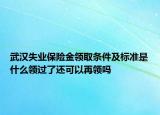 武漢失業(yè)保險金領(lǐng)取條件及標準是什么領(lǐng)過了還可以再領(lǐng)嗎