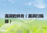 漏洞的拼音（漏洞掃描器）