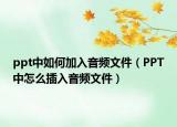 ppt中如何加入音頻文件（PPT中怎么插入音頻文件）
