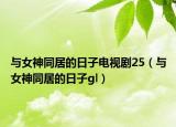 與女神同居的日子電視劇25（與女神同居的日子gl）