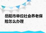 岳陽(yáng)市單位社會(huì)養(yǎng)老保險(xiǎn)怎么辦理