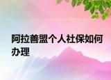 阿拉善盟個(gè)人社保如何辦理