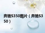 奔馳S350圖片（奔馳S350）