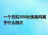 一個月扣300社保高嗎屬于什么檔次