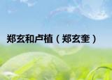 鄭玄和盧植（鄭玄奎）