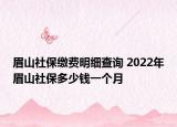 眉山社保繳費明細查詢 2022年眉山社保多少錢一個月