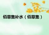 佰草集補(bǔ)水（佰草集）
