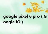 google pixel 6 pro（Google IO）