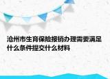 滄州市生育保險(xiǎn)報(bào)銷辦理需要滿足什么條件提交什么材料