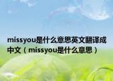 missyou是什么意思英文翻譯成中文（missyou是什么意思）