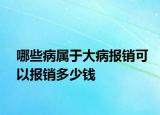 哪些病屬于大病報(bào)銷(xiāo)可以報(bào)銷(xiāo)多少錢(qián)