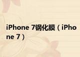 iPhone 7鋼化膜（iPhone 7）