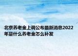 北京養(yǎng)老金上調(diào)公布最新消息2022年是什么養(yǎng)老金怎么補(bǔ)發(fā)