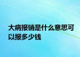 大病報(bào)銷(xiāo)是什么意思可以報(bào)多少錢(qián)