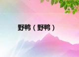 野鴨（野鴨）