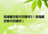 情海星空我與劉德華2（情海星空我與劉德華）