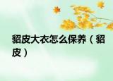 貂皮大衣怎么保養(yǎng)（貂皮）