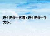 浮生若夢一杯酒（浮生若夢一生為奴）