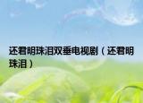 還君明珠淚雙垂電視?。ㄟ€君明珠淚）